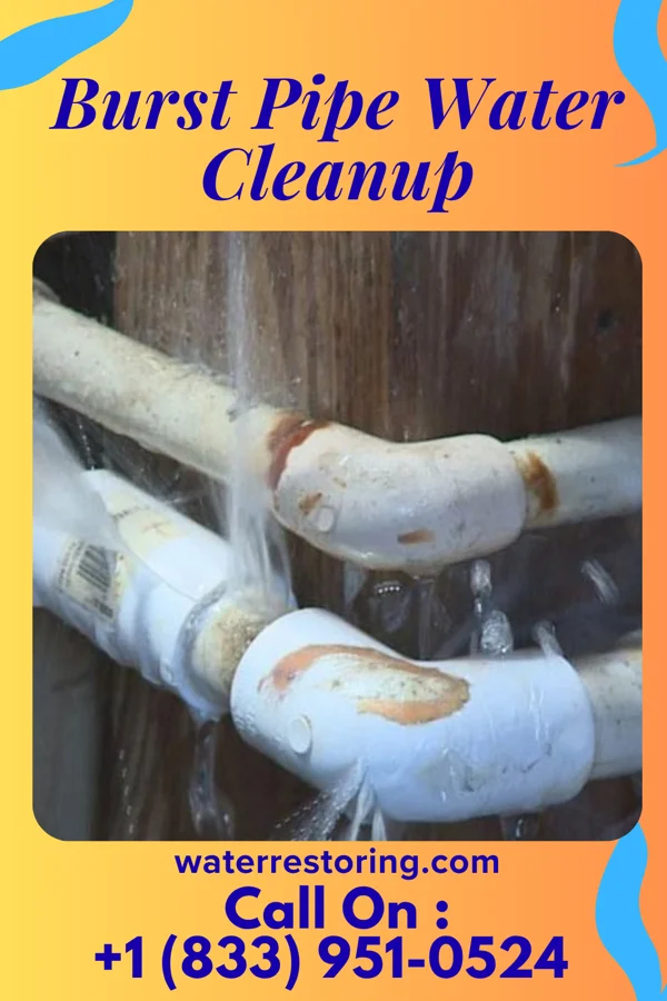 Burst Pipe Water Cleanup in Hartwick Seminary, NY