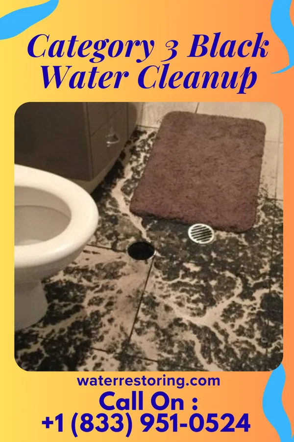 Category 3 Black Water Cleanup in Hartwick Seminary, NY