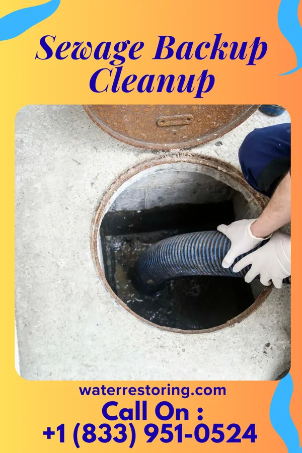 Sewage Backup Cleanup in Hartwick Seminary, NY